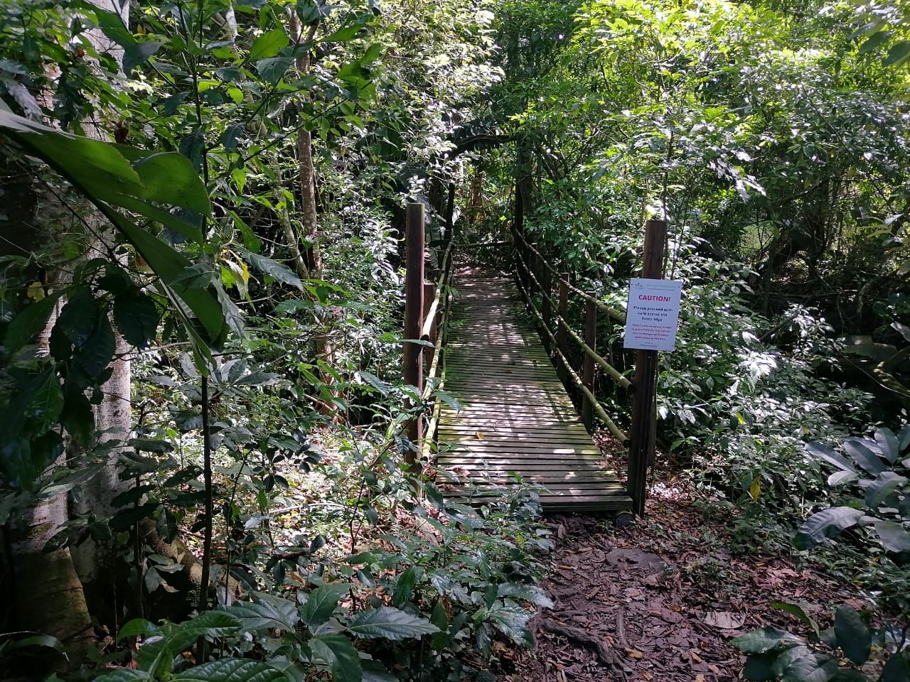 portman bridge